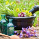 تدوین سند ضد خام‌فروشی گیاهان دارویی