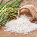 بحران کم‌آبی در بزرگترین تولیدکننده برنج جهان نمایان شد