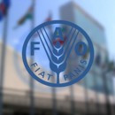 شاخص قیمت مواد غذایی فائو در ژانویه کاهش یافت