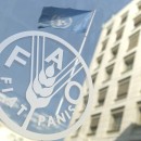 توسعه کشاورزی هوشمند نیازمند استراتژی های ملی منسجم است