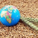 حمایت از توسعه فناوری‌های بومی در حوزه امنیت غذایی با اجرای دو برنامه ملی
