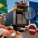اروپا واردات گوشت برزیل را دو سال قفل کرد