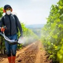 شناسایی علف‌کش تقلبی «پرسوئیت» دربازار/ با عرضه‌کنندگان برخورد قاطع می‌شود