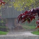 توصیه‌های کارشناس هواشناسی به کشاورزان