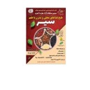 سولان میزبان سومین دوره مسابقات آزاد مهارت‌ آشپزی