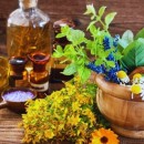 اقتصاد گیاهان دارویی باید بر پایه ظرفیت‌های منابع طبیعی توسعه یابد