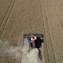 رونمایی برنامه حمایتی ۸ میلیارد دلاری برای کشاورزان آمریکایی