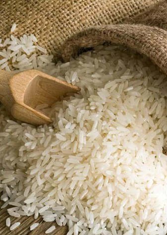 ۲۷ رقم برنج در کشور معرفی شده است