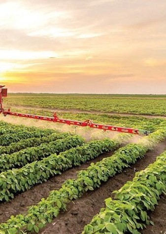 صادرات ۶.۲ میلیارد دلاری کشاورزی در ۱۴۰۲