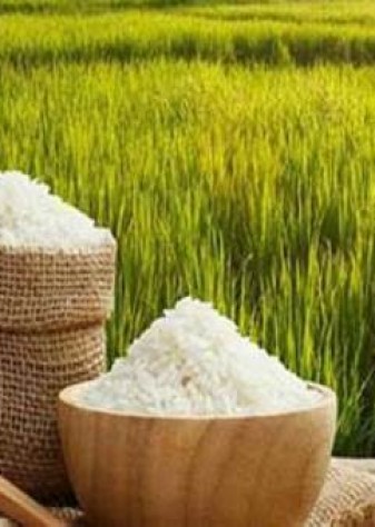 نوسازی شالیکوبی‌ها موجب افزایش راندمان و ارتقای کیفیت برنج تولیدی می‌شود