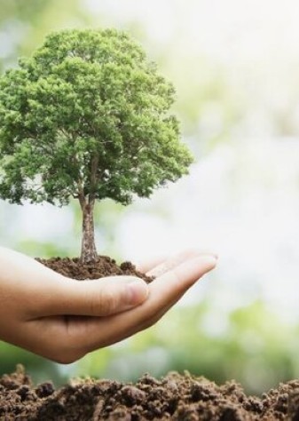 کاشت ۲۵۰میلیون درخت در هزار روز خدمت دولت سیزدهم