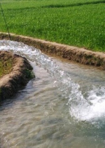 الگوی کشت برمبنای آب تخصیصی بخش کشاورزی اجرا می شود