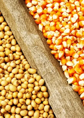 تشدید برخورد قانونی با اخلالگران در نظام تولید و توزیع نهاده های دامی/ واردکنندگان متخلف از سامانه بازارگاه حذف می‌شوند