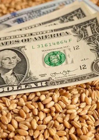 ارز نهاده‌های دامی با تصمیم سران قوا تأمین شد