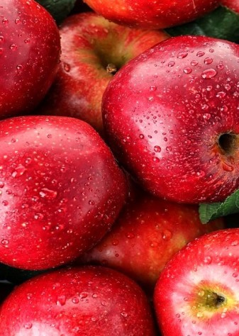 ۲۷ میلیون تن سهم تولید سالانه محصولات باغبانی در کشور