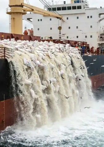 ادعای ریختن محموله های برنج در دریا نادرست است