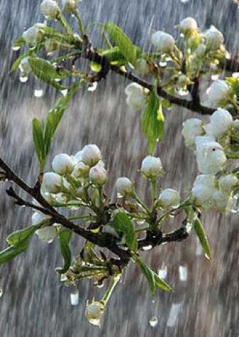 همه بارش‌های اخیر قابل تبدیل به آب مصرفی نیست/ ۴۰ میلی‌متر به متوسط بارش کشور افزوده شد