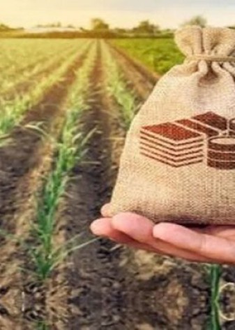 ضرورت افزایش اعتبارات صندوق بیمه کشاورزی و تأمین امنیت غذایی