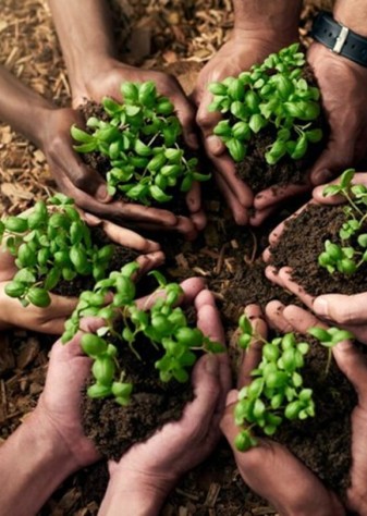 اصلاحات اقتصادی با محور عدالت و تأمین امنیت غذایی با قدرت دنبال می‌شود