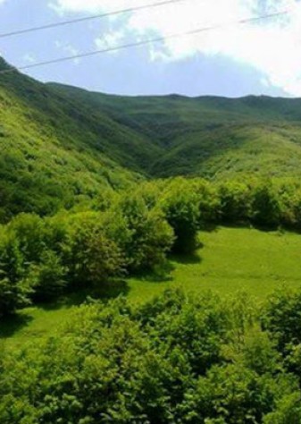 همکاری ایران و یونسکو در حوزه مدیریت پایدار منابع طبیعی