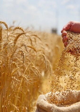 باید نرخ‌های متعدد ارز کاملا حذف شود