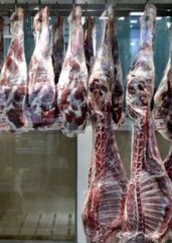 قیمت دام‌زنده رسما اعلام شد/ ریزش قیمت گوشت شدید شد