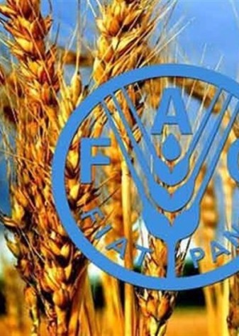 استفاده از فناوری هسته‌ای برای غلبه بر ناامنی غذایی ضروری است