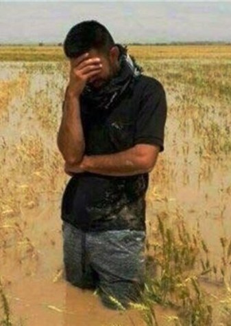 ۳۰ همت خسارت بخش کشاورزی در ایام جنگ
