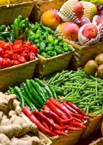تحقق تولید ۱۶۰ میلیون تنی محصولات کشاورزی با مدیریت مصرف آب