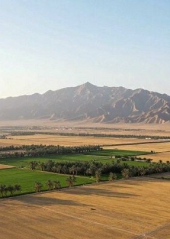 دانش بومی کشاورزان بلوچ؛ الگویی جامع که باید ثبت و احیا شود