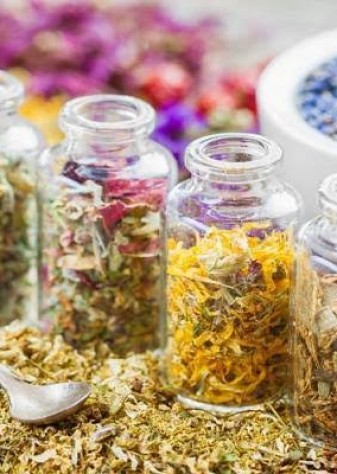 سه میلیون دلار صادرات، ثمره توسعه کشت گیاهان دارویی در اصفهان