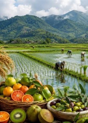 نظارت هوشمند بر تولیدات کشاورزی، محور اجرای برنامه هفتم شد