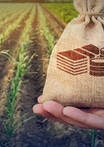 حداقل سهم بخش کشاورزی از وام‌های بانکی تعیین شد