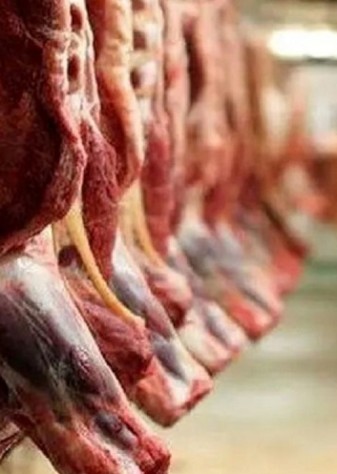 چرا گوشت وارداتی با اختلاف قیمت به دست مردم می‌رسد؟