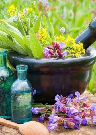 همکاری مشترک فناورانه در حوزه نانوفناوری و گیاهان دارویی