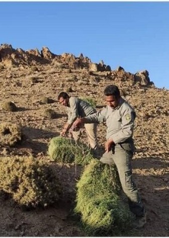 امنیت گردشگران و حفاظت از طبیعت باید همزمان تامین شود