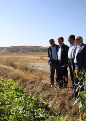 کشت قراردادی راهکاری برای کاهش ریسک تولید، ایجاد اطمینان در بازار و افزایش درآمد پایدار