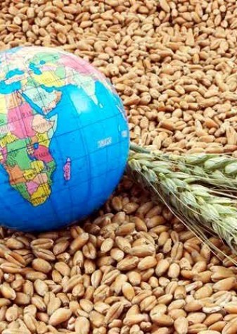 جهان در آستانه یک بحران غذایی بزرگ | وال استریت ژورنال: ایران، چین و روسیه بازار جهانی کودهای کشاورزی را کنترل می‌کنند | بازهم پای تنگه هرمز در میان است