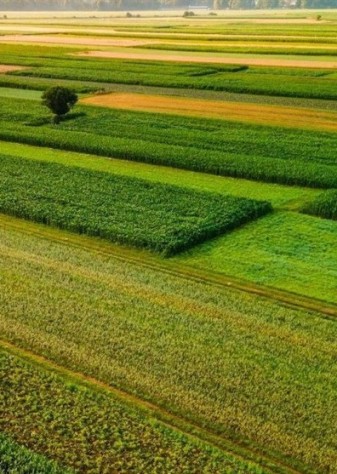 هرمزگان بر سکوی نخست سرمایه‌گذاری کشاورزی کشور ایستاد