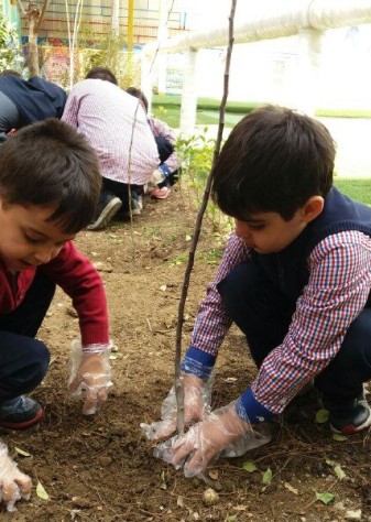 سهم ۲.۵ درصدی مهارت‌ آموزی دانش‌ آموزان در بخش کشاورزی