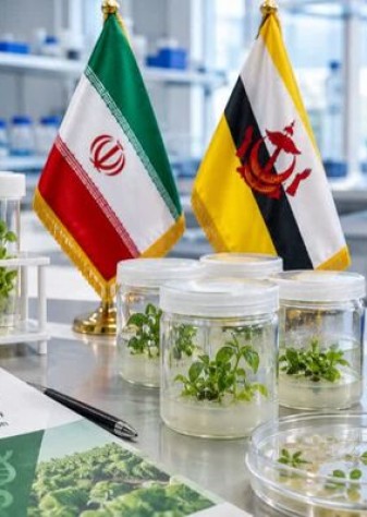 بیوتکنولوژی؛ اولویت نخست همکاری کشاورزی ایران و برونئی