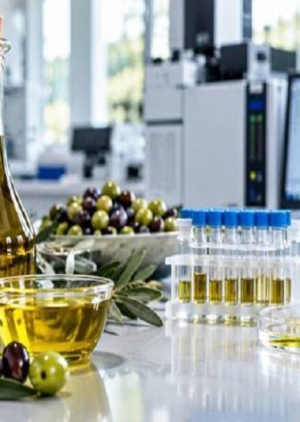 رعایت استانداردهای بهداشتی در فراوری زیتون ضروری است